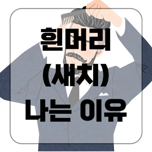 흰머리 새치 사진