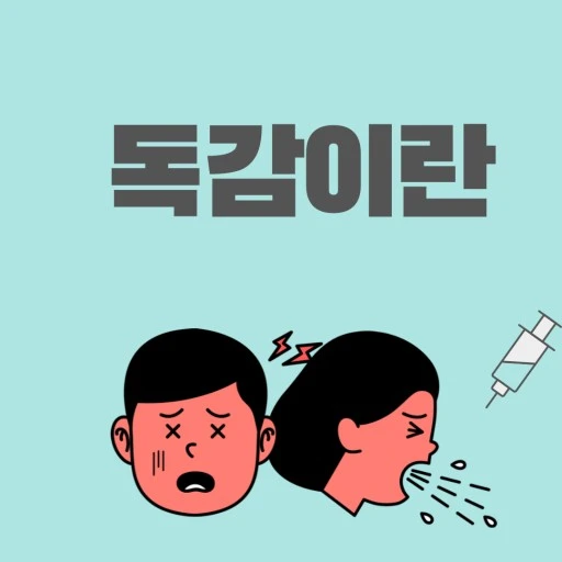 독감이란 사진